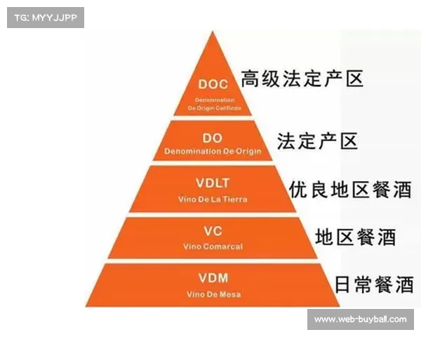 ICC赛事分级制度对板球小国资源分配不公的加剧与挑战 ICC赛事分级制度对板球小国资源分配不公的加剧与挑战